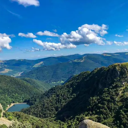 In Near Castle Reipertswiller