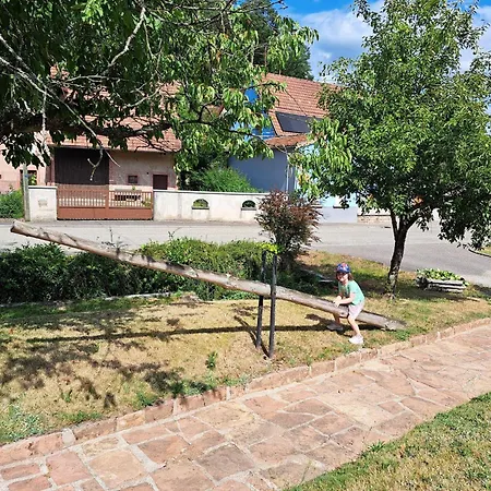 Prázdninový dům In Near Castle Reipertswiller