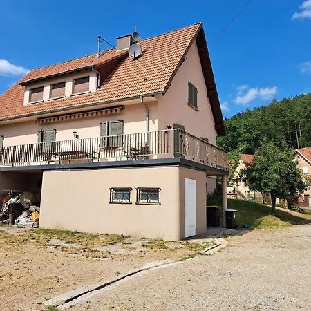 Prázdninový dům In Near Castle Reipertswiller